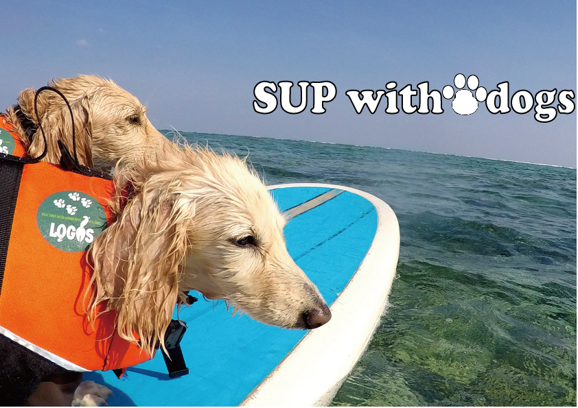 SUPで愛犬と沖縄の海クルージング